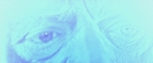 extant_StarTrekV_TheFinalFrontier_09877.jpg