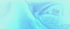 extant_StarTrekV_TheFinalFrontier_09900.jpg