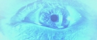 Filename=extant_StarTrekV_TheFinalFrontier_09903.jpg
Filesize=118KiB
Dimensions=1910x796
Date added=Apr 11, 2019 extant_StarTrekV_TheFinalFrontier_09903.jpg