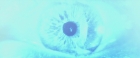 Filename=extant_StarTrekV_TheFinalFrontier_09905.jpg
Filesize=81KiB
Dimensions=1910x796
Date added=Apr 11, 2019 extant_StarTrekV_TheFinalFrontier_09905.jpg