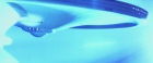 Filename=extant_StarTrekV_TheFinalFrontier_10075.jpg
Filesize=91KiB
Dimensions=1910x796
Date added=Apr 11, 2019 extant_StarTrekV_TheFinalFrontier_10075.jpg