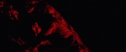 Filename=extant_StarTrekV_TheFinalFrontier_10489.jpg
Filesize=42KiB
Dimensions=1910x796
Date added=Apr 11, 2019 extant_StarTrekV_TheFinalFrontier_10489.jpg