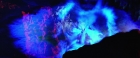 Filename=extant_StarTrekV_TheFinalFrontier_10498.jpg
Filesize=135KiB
Dimensions=1910x796
Date added=Apr 11, 2019 extant_StarTrekV_TheFinalFrontier_10498.jpg