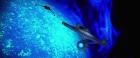 Filename=extant_StarTrekV_TheFinalFrontier_10770.jpg
Filesize=145KiB
Dimensions=1910x796
Date added=Apr 11, 2019 extant_StarTrekV_TheFinalFrontier_10770.jpg