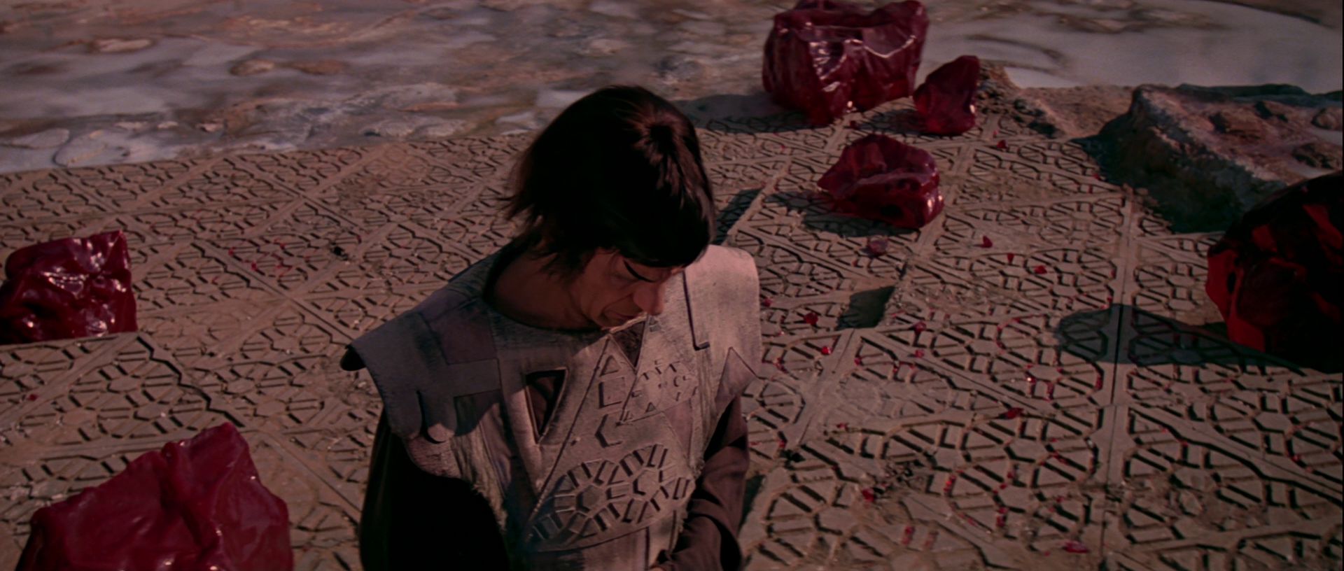 extant_StarTrek_TheMotionPicture_0601.jpg