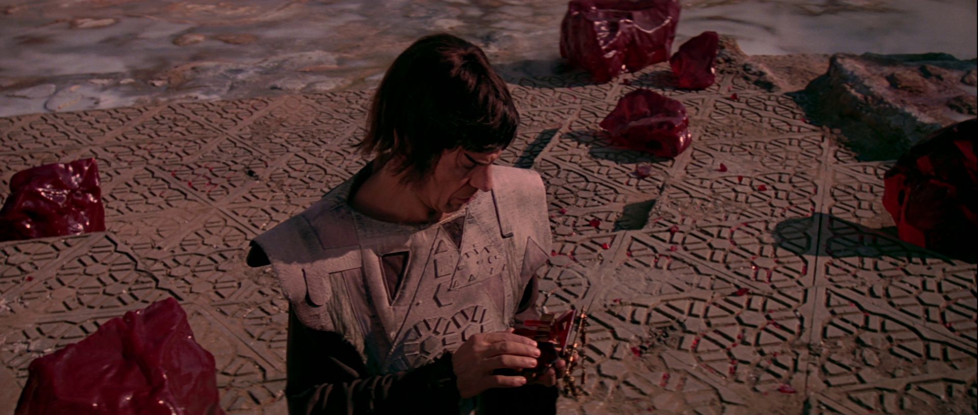 extant_StarTrek_TheMotionPicture_0610.jpg