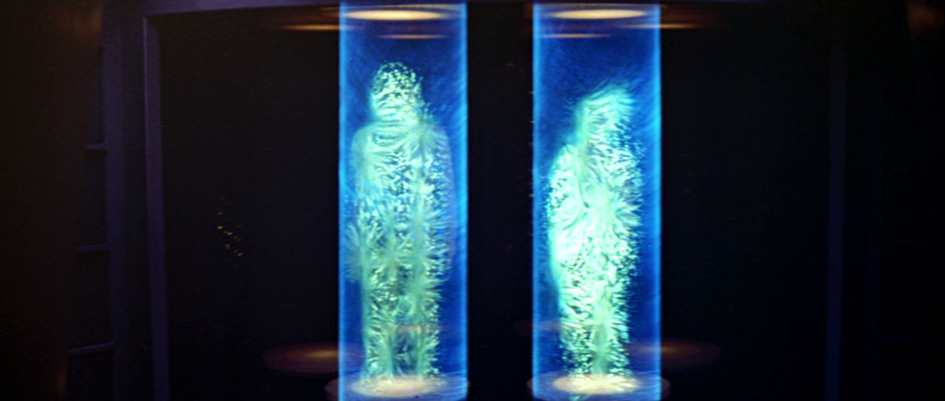 extant_StarTrek_TheMotionPicture_1607.jpg