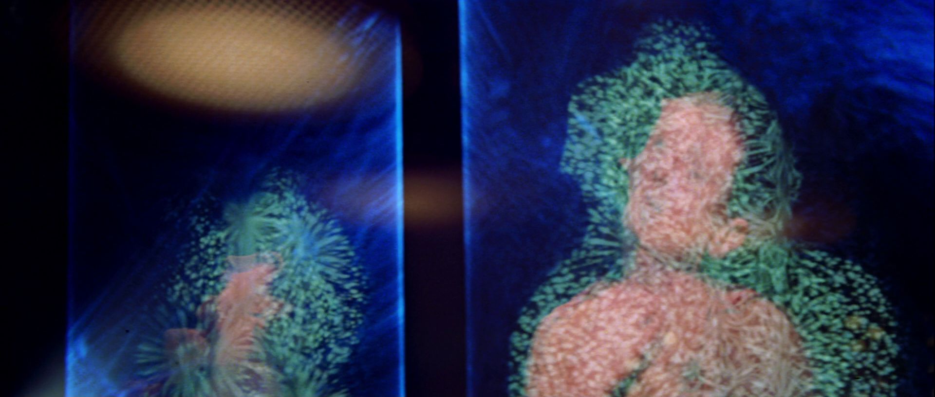 extant_StarTrek_TheMotionPicture_1633.jpg