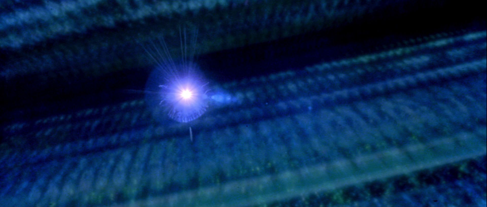 extant_StarTrek_TheMotionPicture_3983.jpg