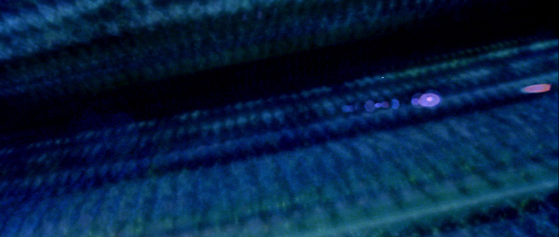extant_StarTrek_TheMotionPicture_3986.jpg