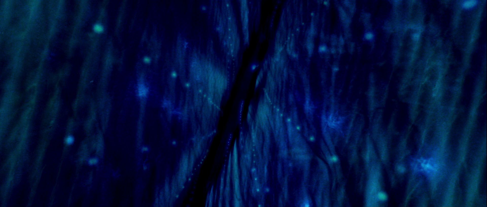 extant_StarTrek_TheMotionPicture_4317.jpg