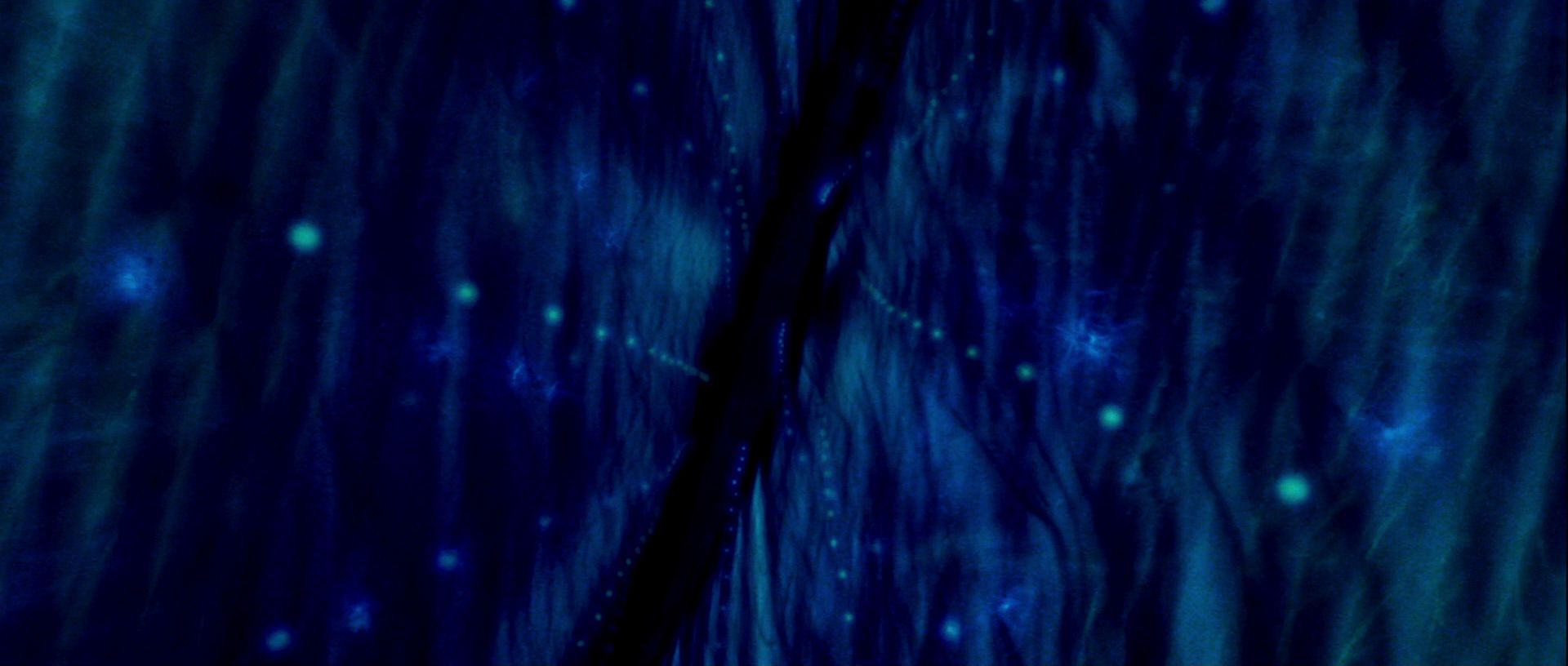 extant_StarTrek_TheMotionPicture_4319.jpg