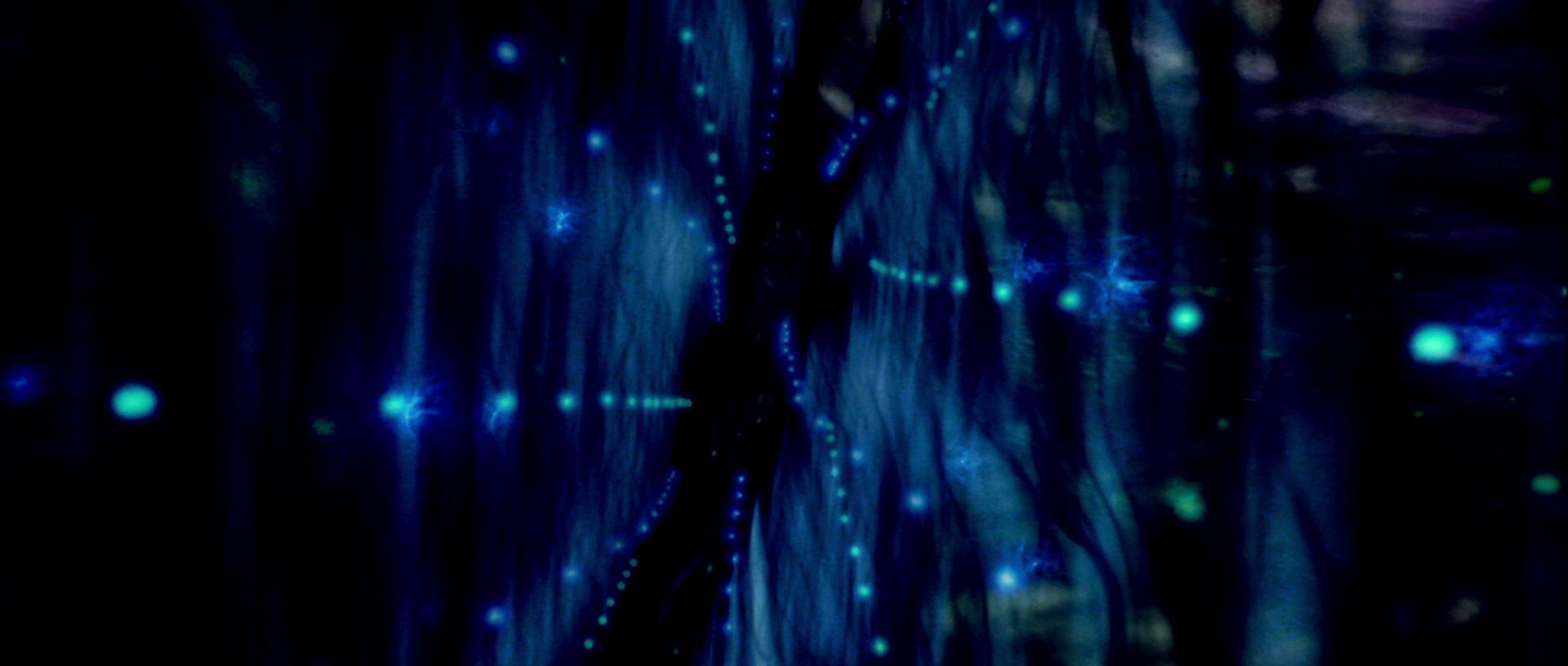 extant_StarTrek_TheMotionPicture_4335.jpg