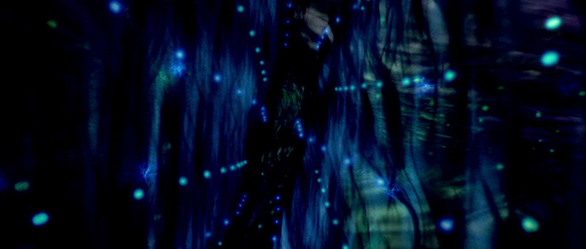 extant_StarTrek_TheMotionPicture_4337.jpg