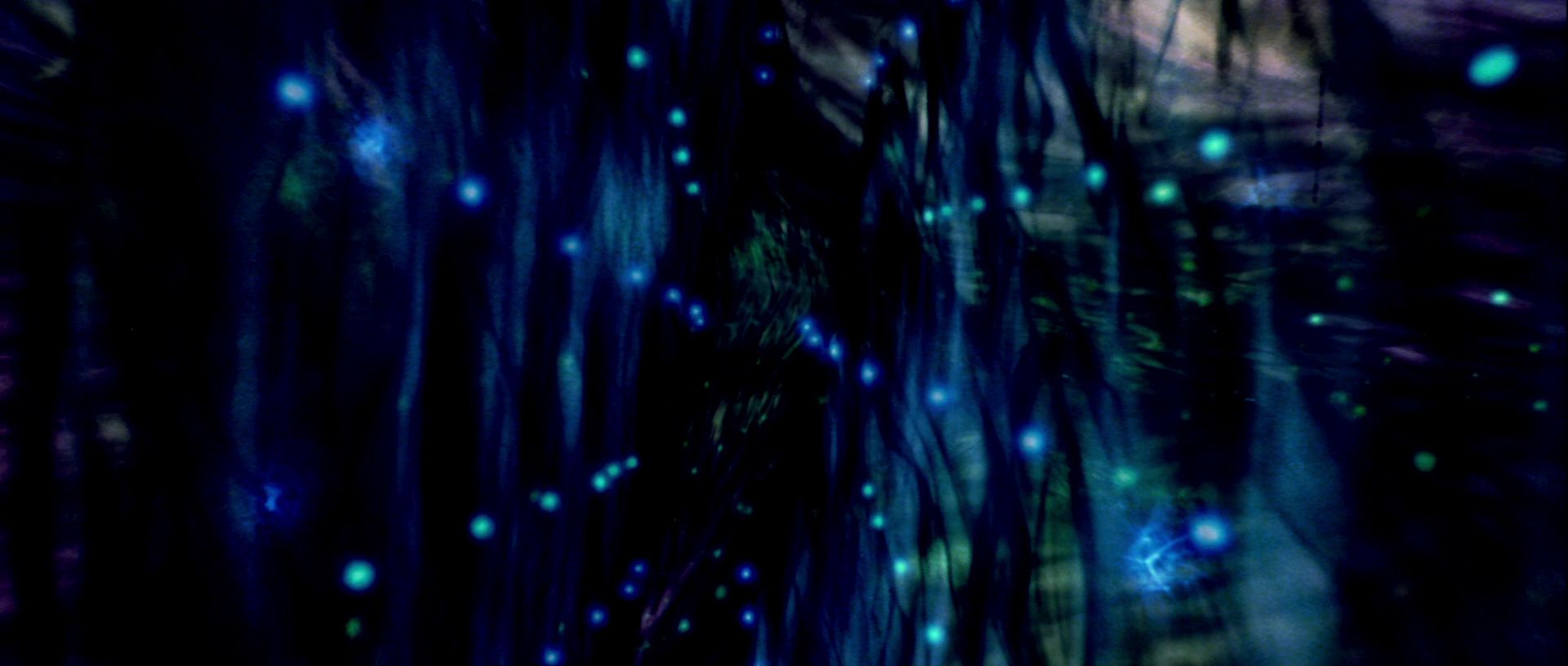 extant_StarTrek_TheMotionPicture_4338.jpg