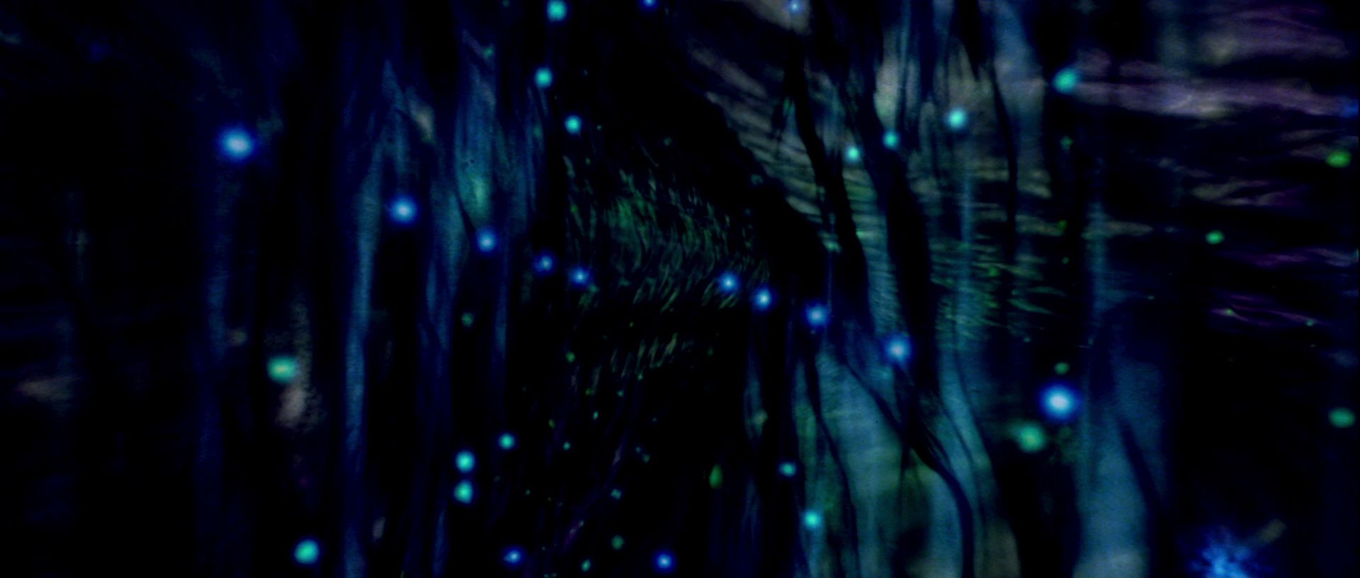 extant_StarTrek_TheMotionPicture_4339.jpg