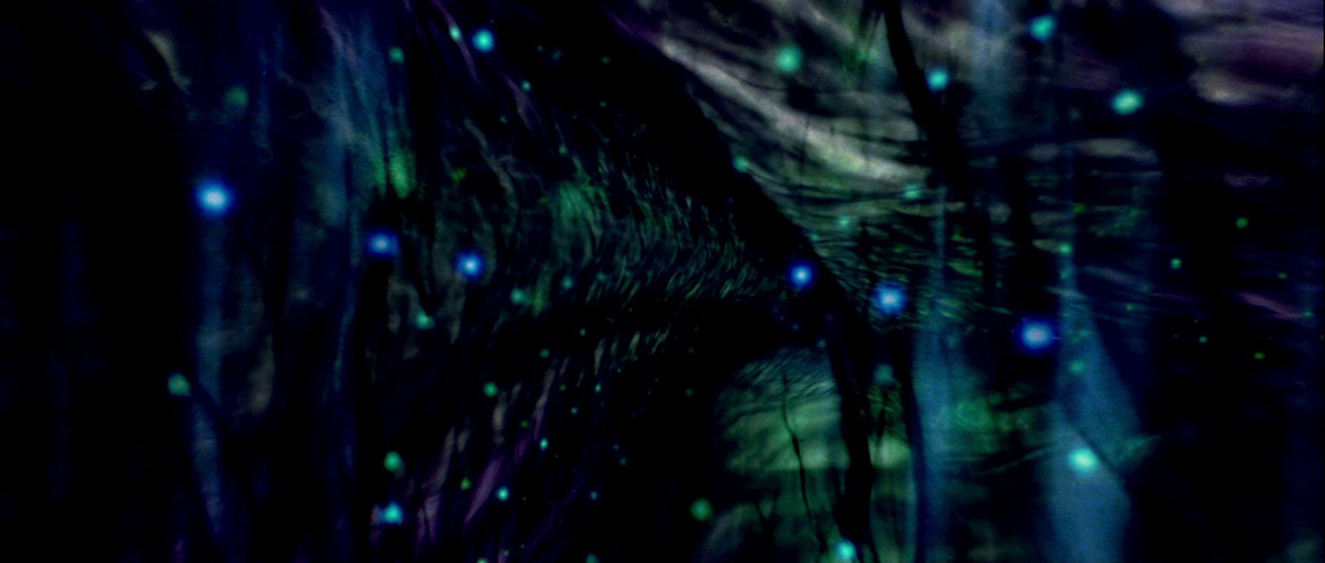 extant_StarTrek_TheMotionPicture_4340.jpg