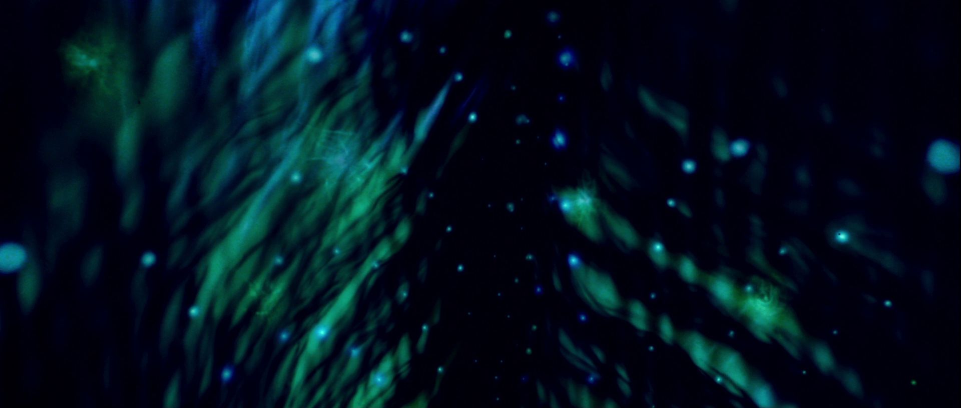 extant_StarTrek_TheMotionPicture_4366.jpg