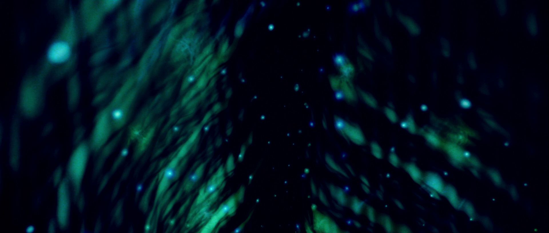 extant_StarTrek_TheMotionPicture_4367.jpg