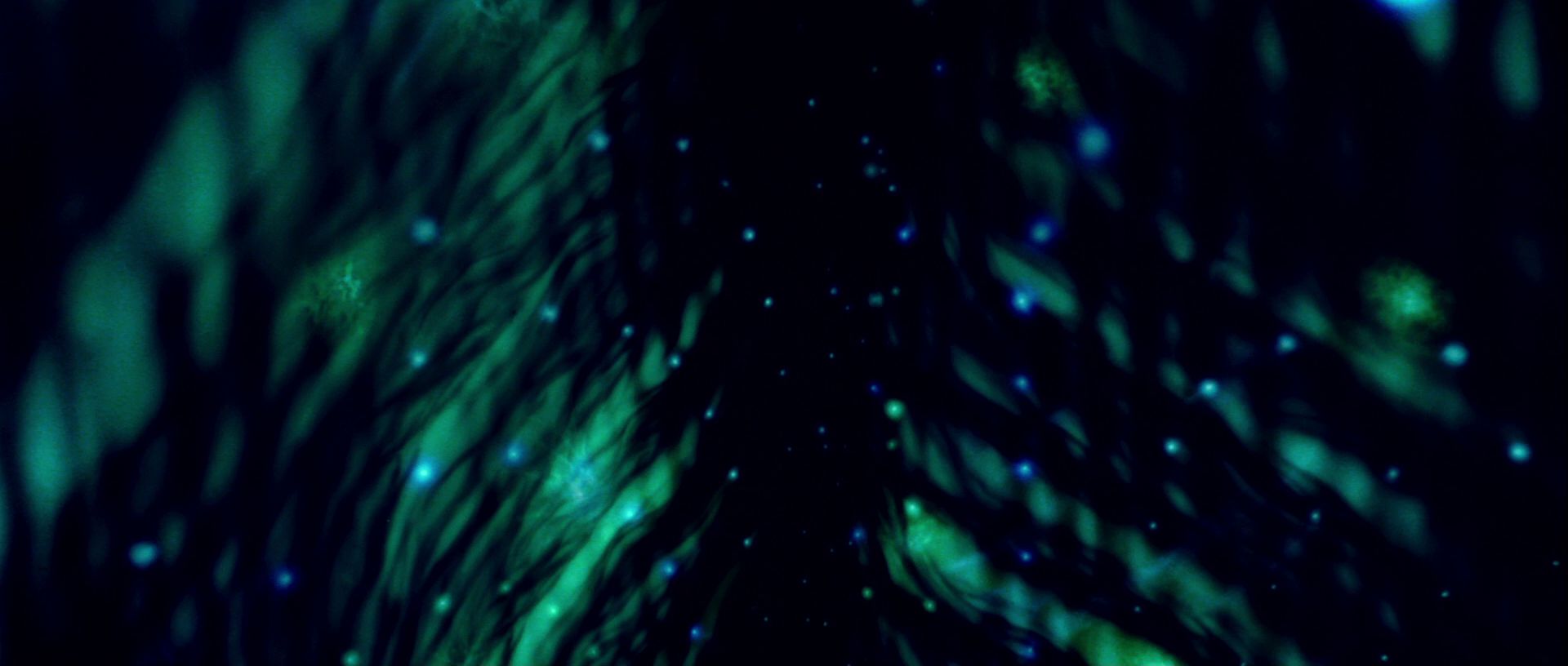 extant_StarTrek_TheMotionPicture_4368.jpg