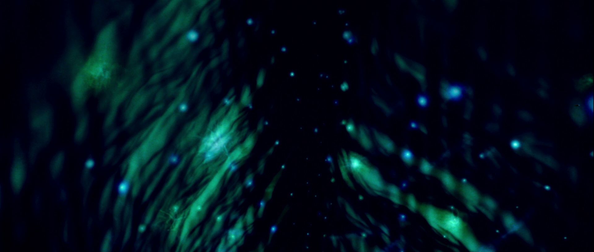 extant_StarTrek_TheMotionPicture_4369.jpg
