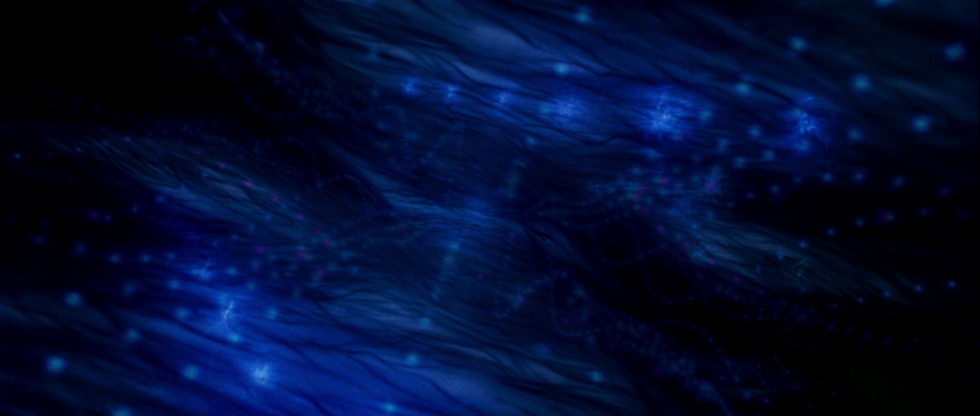 extant_StarTrek_TheMotionPicture_4404.jpg
