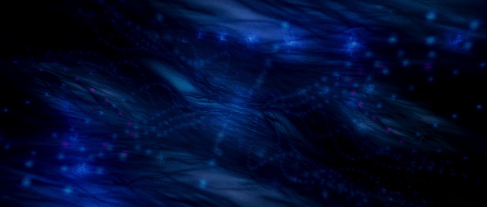 extant_StarTrek_TheMotionPicture_4406.jpg