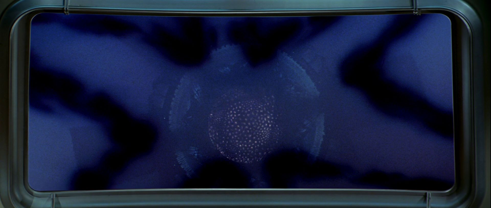 extant_StarTrek_TheMotionPicture_4525.jpg