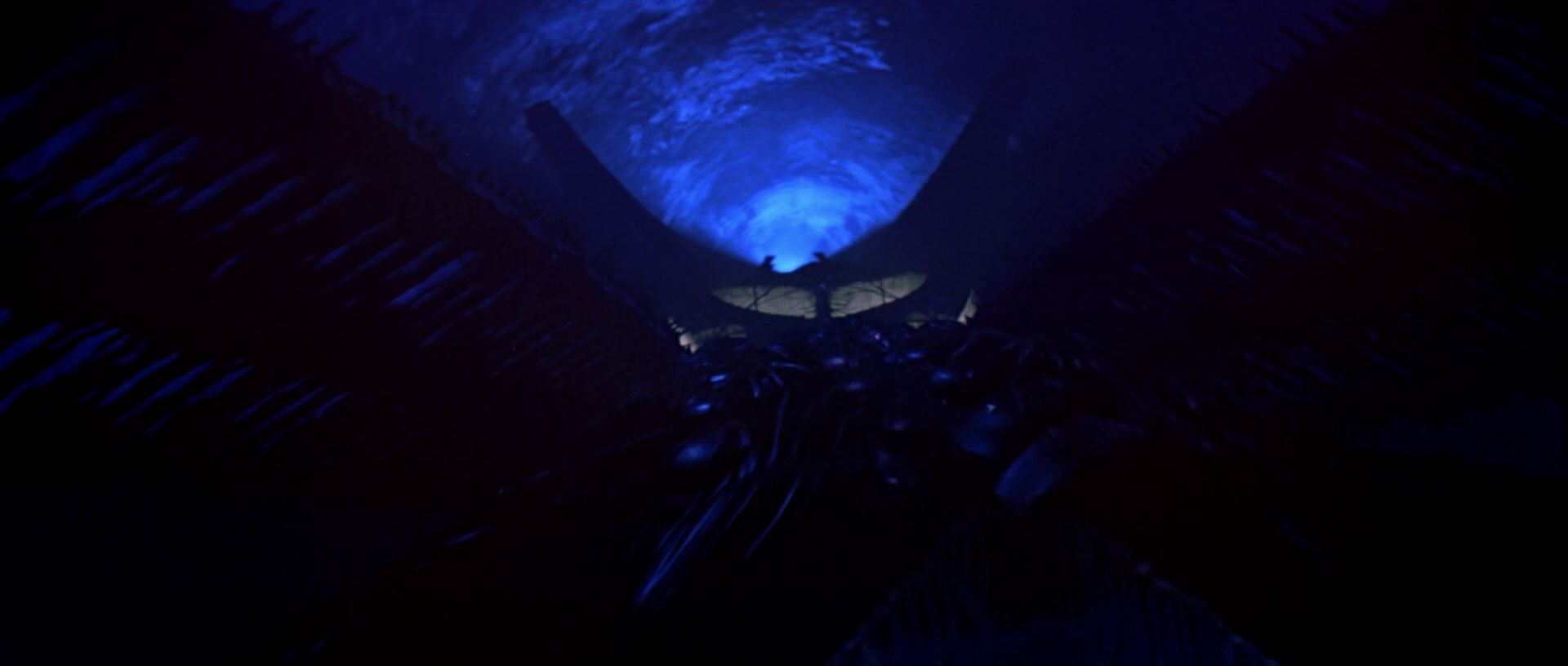 extant_StarTrek_TheMotionPicture_4691.jpg