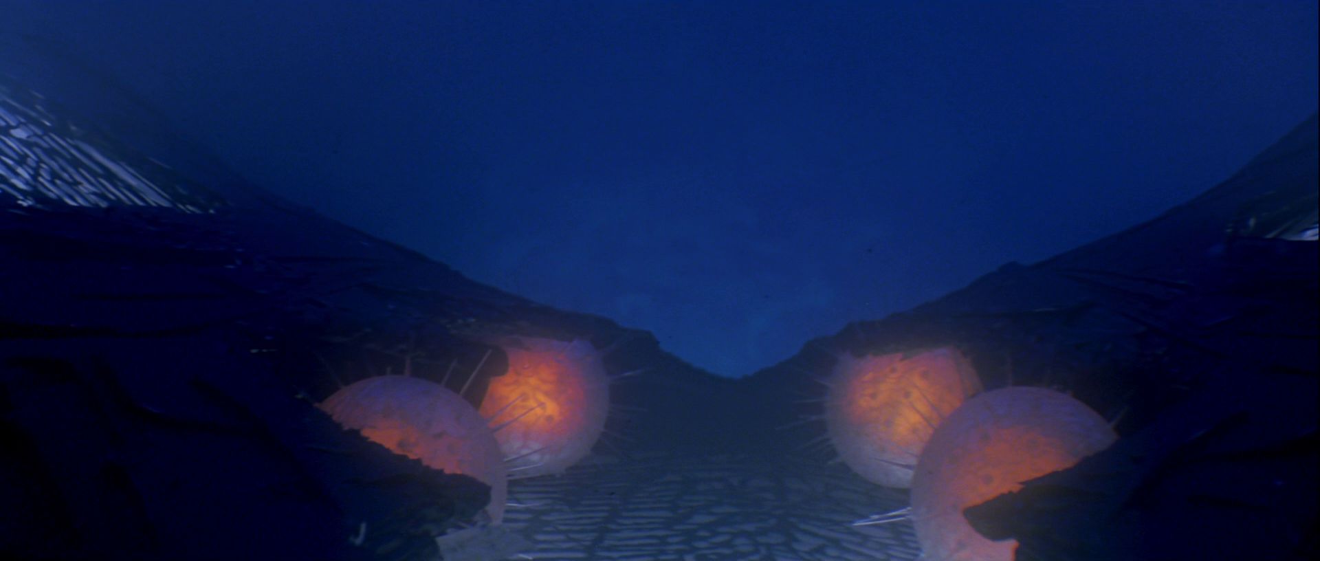 extant_StarTrek_TheMotionPicture_4943.jpg