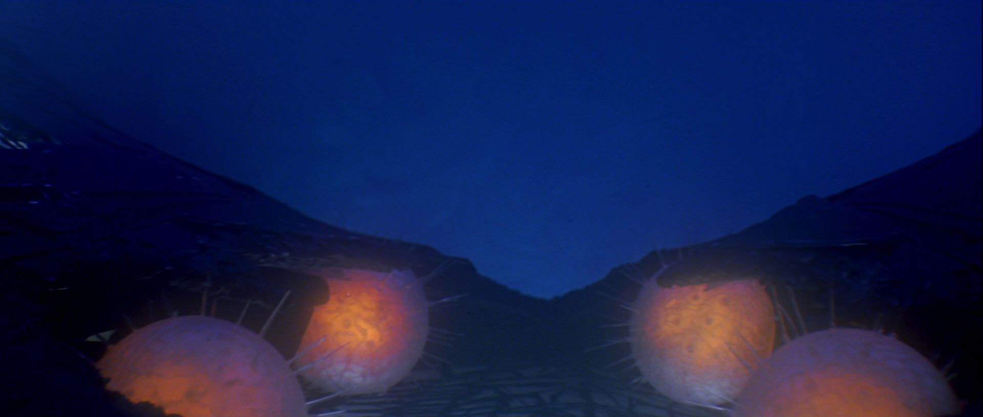 extant_StarTrek_TheMotionPicture_4948.jpg