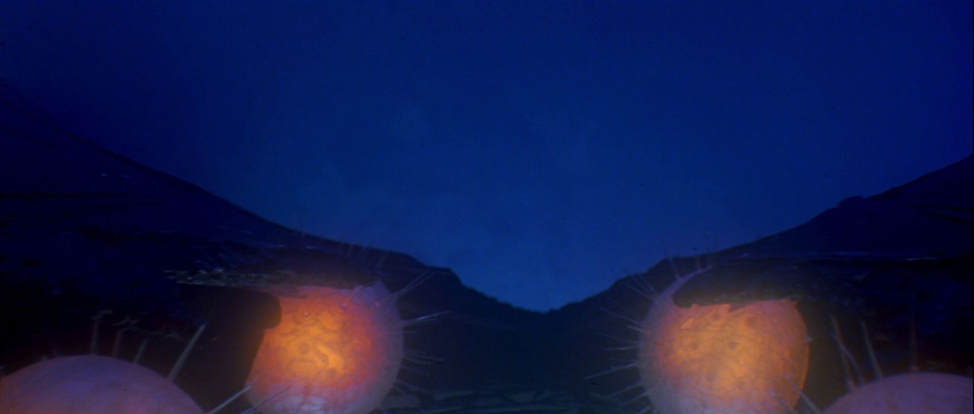 extant_StarTrek_TheMotionPicture_4951.jpg