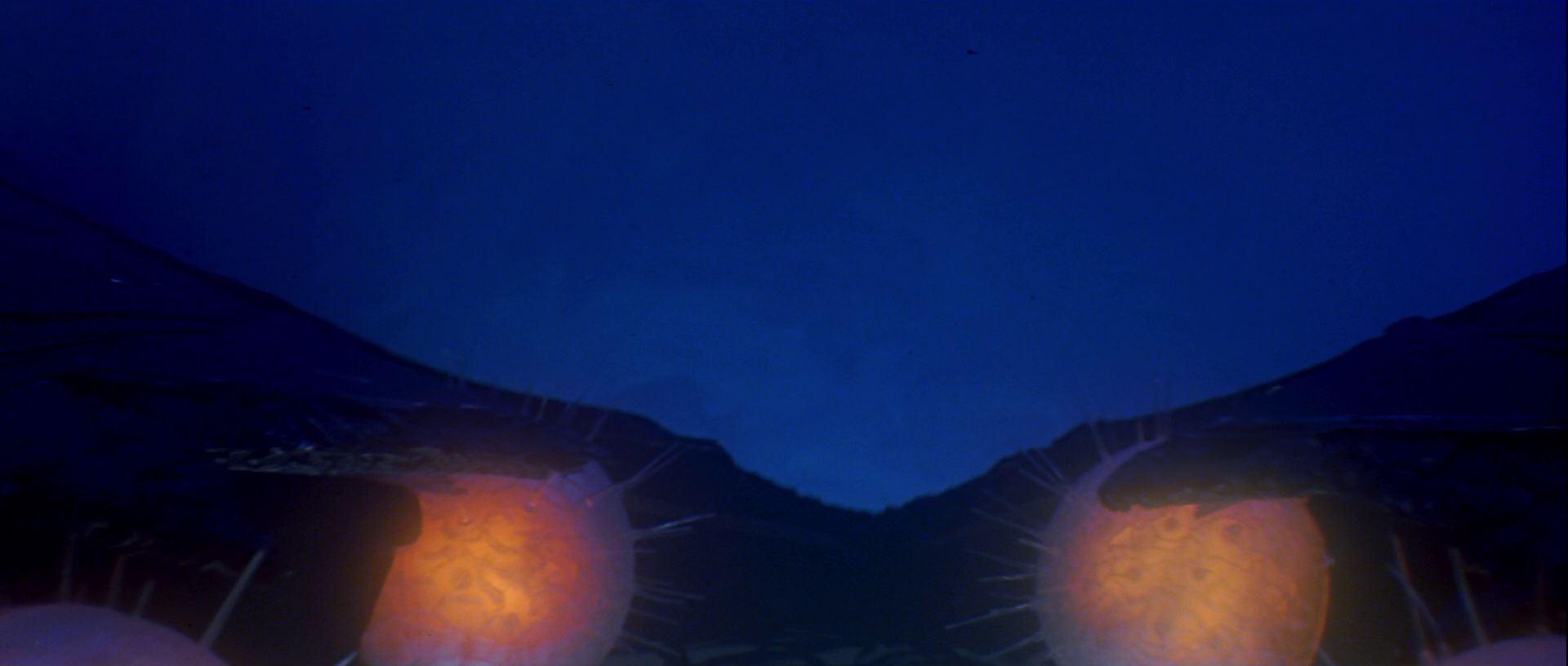 extant_StarTrek_TheMotionPicture_4952.jpg