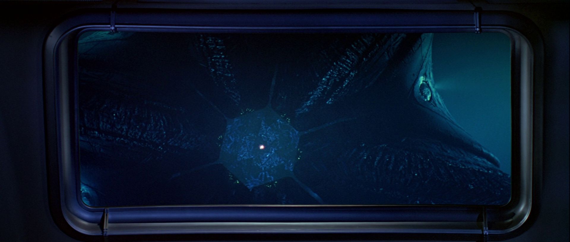 extant_StarTrek_TheMotionPicture_5224.jpg