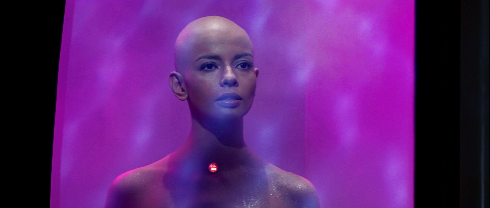 extant_StarTrek_TheMotionPicture_5679.jpg