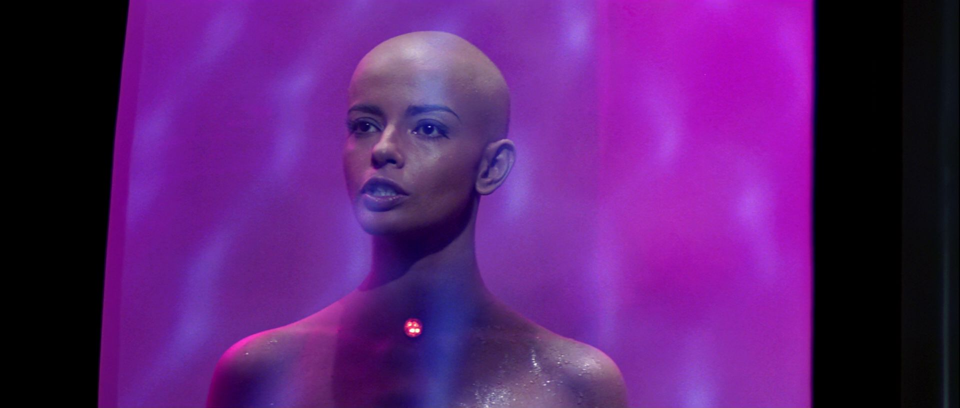 extant_StarTrek_TheMotionPicture_5684.jpg