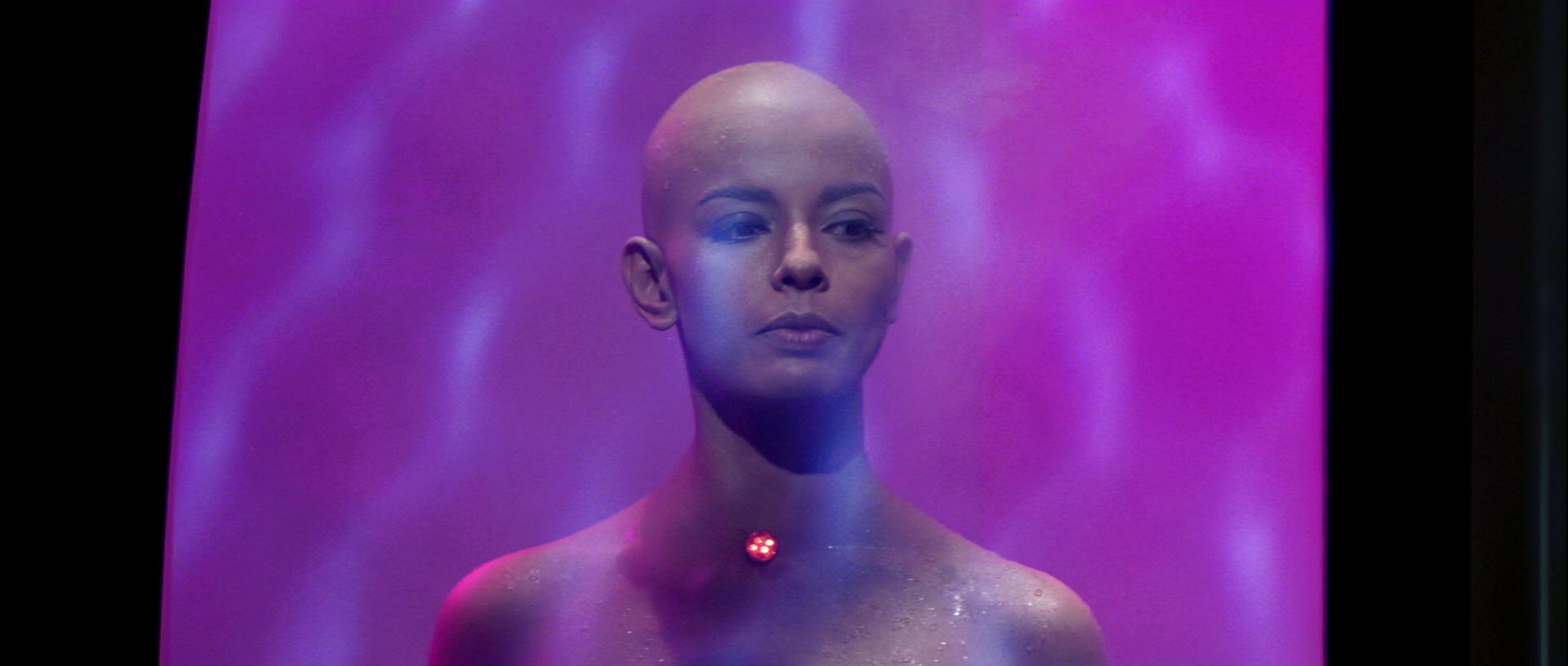 extant_StarTrek_TheMotionPicture_5690.jpg