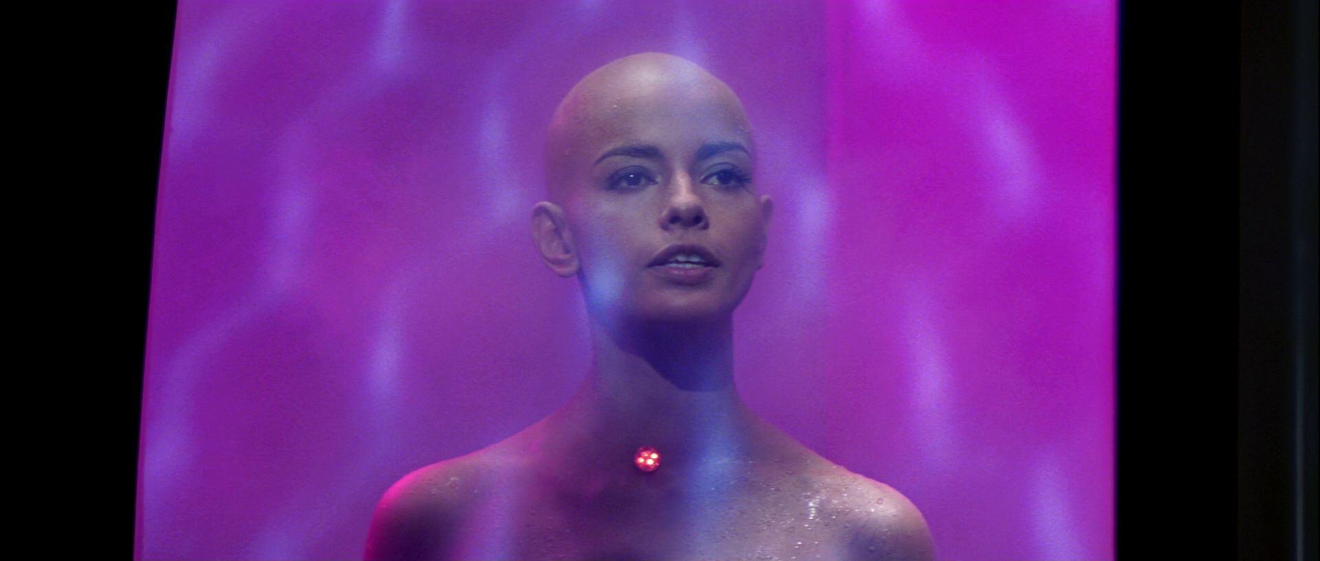 extant_StarTrek_TheMotionPicture_5692.jpg