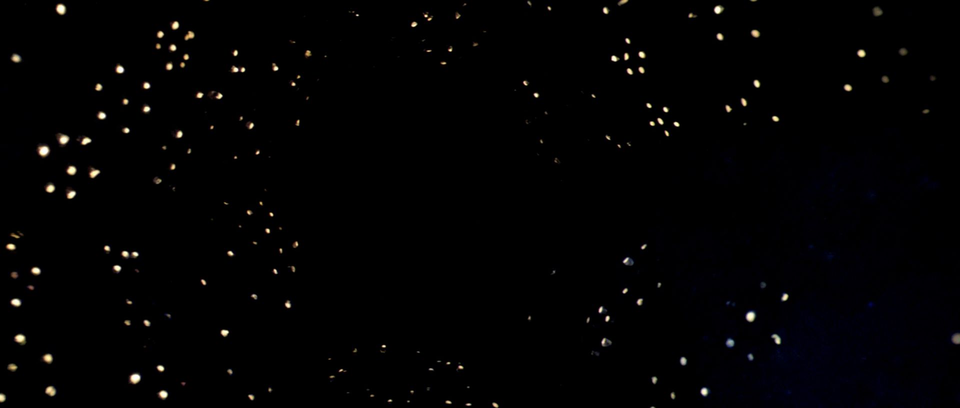 extant_StarTrek_TheMotionPicture_6592.jpg