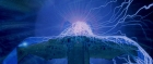 Filename=extant_StarTrek_TheMotionPicture_0355.jpg
Filesize=146KiB
Dimensions=1920x816
Date added=Apr 05, 2018 extant_StarTrek_TheMotionPicture_0355.jpg
