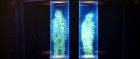 extant_StarTrek_TheMotionPicture_1607.jpg