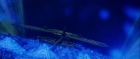 Filename=extant_StarTrek_TheMotionPicture_1948.jpg
Filesize=122KiB
Dimensions=1920x816
Date added=Apr 05, 2018 extant_StarTrek_TheMotionPicture_1948.jpg