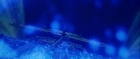 Filename=extant_StarTrek_TheMotionPicture_1949.jpg
Filesize=124KiB
Dimensions=1920x816
Date added=Apr 05, 2018 extant_StarTrek_TheMotionPicture_1949.jpg