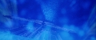 extant_StarTrek_TheMotionPicture_1952.jpg
