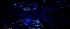 Filename=extant_StarTrek_TheMotionPicture_4293.jpg
Filesize=81KiB
Dimensions=1920x816
Date added=Apr 05, 2018 extant_StarTrek_TheMotionPicture_4293.jpg