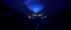 extant_StarTrek_TheMotionPicture_4715.jpg