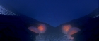 Filename=extant_StarTrek_TheMotionPicture_4941.jpg
Filesize=63KiB
Dimensions=1920x816
Date added=Apr 05, 2018 extant_StarTrek_TheMotionPicture_4941.jpg