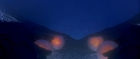 Filename=extant_StarTrek_TheMotionPicture_4943.jpg
Filesize=62KiB
Dimensions=1920x816
Date added=Apr 05, 2018 extant_StarTrek_TheMotionPicture_4943.jpg