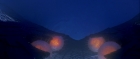 Filename=extant_StarTrek_TheMotionPicture_4944.jpg
Filesize=60KiB
Dimensions=1920x816
Date added=Apr 05, 2018 extant_StarTrek_TheMotionPicture_4944.jpg