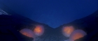 Filename=extant_StarTrek_TheMotionPicture_4945.jpg
Filesize=61KiB
Dimensions=1920x816
Date added=Apr 05, 2018 extant_StarTrek_TheMotionPicture_4945.jpg